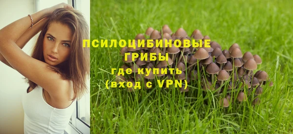 кристаллы Гусев