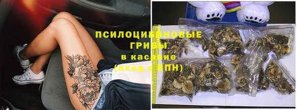 каннабис Гусиноозёрск