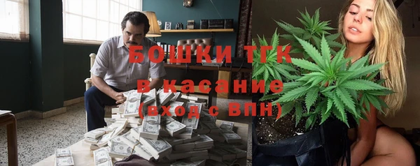 кристаллы Гусев